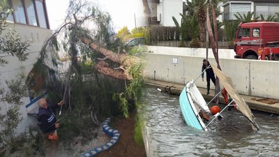 Bodrum’da Fırtına ve Sağanak Hayatı Felç Etti: Tekneler Battı, Ağaçlar Devrildi