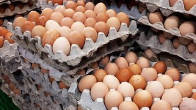 Ünlü Markanın Yumurtalarında Çamaşır Suyu Tespit Edildi! Raflardan Acil Toplatılıyor