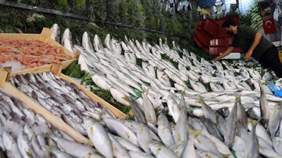 Nisan Ayında Hangi Balık Yenir? İşte Nisan Ayında Tüketince Faydası 5 Kat Artan Balık Türleri