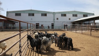 Bir Başvuruyla Büyük Kâr Etti! İki Katına Çıkardı: Paraya Para Demiyor