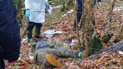 Samsun’da 23 Yaşındaki Genç Ormanlık Alanda Ölü Bulundu