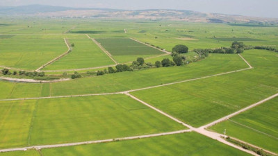 Milli Emlak 52 Bin Liraya Arsa Satıyor! Çabuk Davranan Tapuyu Alır