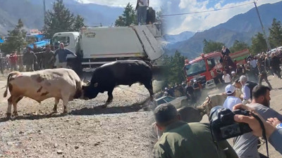 Boğa Güreşi Tarihinde Bir İlk! Kapıyı Kırıp Seyircilerin Arasına Daldılar