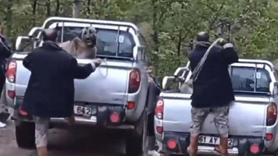 Vahşetin Adresi Bu Kez Trabzon! Köpeği Dakikalarca Acımasızca Darbetti