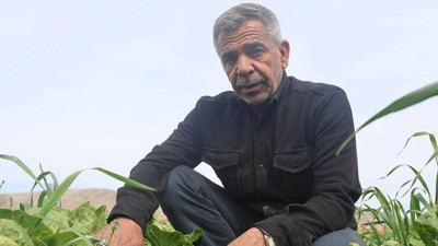 Tarlada 5 Markette 30 Lira! En Verimsiz Hasat Oldu, Çiftçiler Kan Ağlıyor