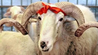 Kurban Bayramı Tatili Bayram Ne Zaman ve Kaç Gün Sürecek?