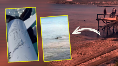 Önce Antalya Sonra Muğla, İki İlde Birden Alarm… Görenlerin Kanı Dondu