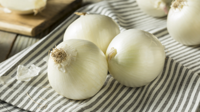 Topraktan Resmen Petrol Gibi Fışkırdı: Beyaz Altının Kilosu 7 TL’ye İndi! Bu Kadar Faydasını Kimse Bilmiyordu