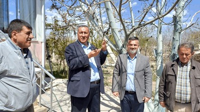 Zirai Don Felakete Dönüştü: 'Bu Yıl Bağ ve Bahçeden Ürün Alınması Mümkün Görünmüyor'