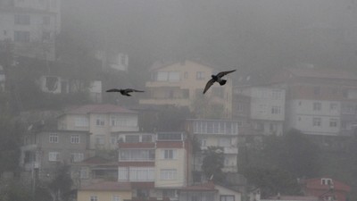 Ordu’nun Yüksek Kesimleri Sise Gömüldü