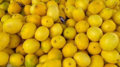 Yine Limon Yine Kimyasal Madde, Bu Kez Bulgaristan Sınırına Takıldı