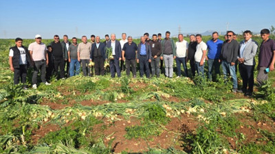 DEVA’dan Çukurova’da Yaşanan Soğan Krizine Tepki, ‘Büyük Bir Oyun Var’