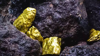 Tarlasında Gözü Parlayan Taşa İlişti Yaklaşınca Gördüklerine İnanamadı! Tam  174 Milyar Lira Değerinde 150 Ton Altın Buldu