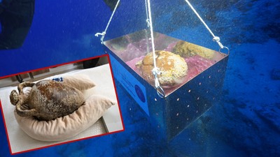 Dünyanın Gözü Antalya'da Bulunan 1100 Yıllık Amforada: İçinde Çıkacaklar Tarihi Değiştirebilir