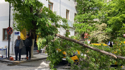 Fırtınada Kopan Dallar Taksi Durağına Düştü, Araçlar Zarar Gördü