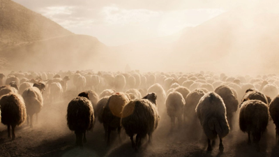 81 İli Etkiledi: Vali'ye Kadar Haber Saldılar! 100 Bin Liraya Çalışacak Eleman Bulamıyorlar