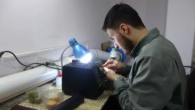 Malzemesinin Gramı Altından Pahalı, Fiyatı Ev Fiyatlarıyla Yarışıyor! Tek Tek İşleyip, Tanesini En Az 15 Bin Liraya Satıyor