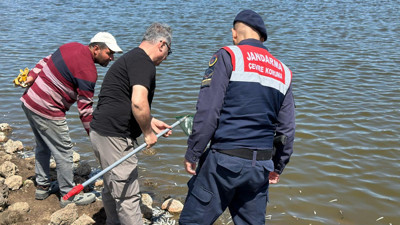 Diyarbakır Çınar’da Göletteki Balık Ölümleri İçin İnceleme Başlatıldı