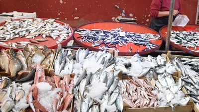 Dünyada Hem En Çok Tüketilen Hem de Paraziti En Fazla Olan Balık! Resmen Zehir Saçıyormuş