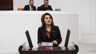 CHP'li Kış'tan Torba Yasaya Tepki