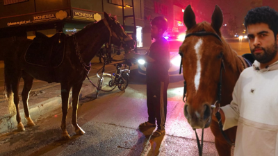 At Sırtında Yolculuk Polis Sireniyle Bitti: Dörtnala Markete Giden Gence Alkollü Araç Kullanmaktan Ceza