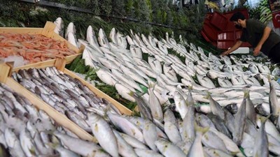 Ne Somon Ne Mezgit Ne de Hamsi! Mayıs Ayında Yenilen Balıklar Bakın Hangisi