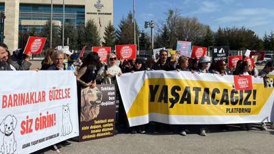 AYM 'Hayvan Katliamına Devam' Dedi... İptal İstemini Reddetti