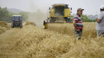 Hasat Sonrası Çiftçiye Büyük Destek! Yüzde 50'sini Devlet Verecek
