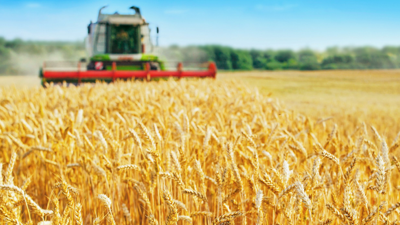 Yılın İlk Hasadı Türkiye'nin Kalbinde Başladı, Borsada Satışa Girdi! Tarım Sektöründe Büyük Heyecan