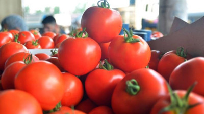Markette Satılan Domateslerden Çıktı: Hepsi Toplatılıyor
