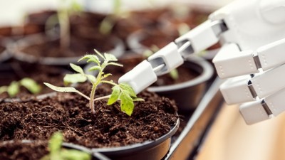 Ne Güneş Işığı Ne Toprak! Bilim İnsanları Elektrikli Tarım Yöntemini Geliştirdi: Kıtlık Tarih Oluyor