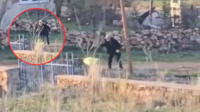 Vicdan da Adalet de Yaralı! Eşeği Döve Döve Öldürdü, Serbest Kaldı: Zulüm Kamerada