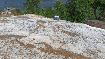 Diyarbakır'da Etkili Olan Dolu Bağ ve Bahçelere Zarar Verdi