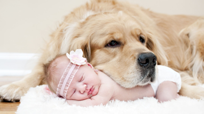 Bebek ve Evcil Hayvan Sahipleri Dikkat! Odanızda Varsa Hemen Atın: Apar Topar Toplatılıyor