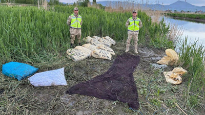 Van'da 3 Ton 370 Kilogram İnci Kefali Ele Geçirildi