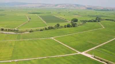Bu Bölgelerde Arsası Olanlar Yaşadı! Yatırımcıların Tercih Ettiği İller Belli Oldu, Rekor Arttı