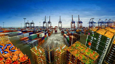 Tehlike Kapıdan Döndü! Türkiye, 4 Ülkenin Ürününü Geri Gönderdi