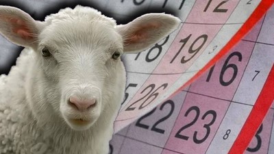 2025 KURBAN BAYRAMI TATİLİ 9 GÜN MÜ? Bakan Ersoy'dan Açıklama Geldi: Kurban Bayramı Kaç Gün Olacak?