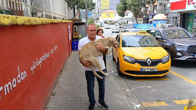 Hayvansever Taksici Sokak Köpeğini Kurtardı