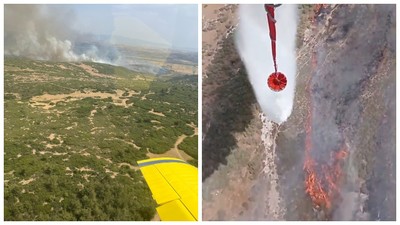 İzmir Foça'da Yangın Araziden Ormana Sıçradı! Müdahale Sürüyor