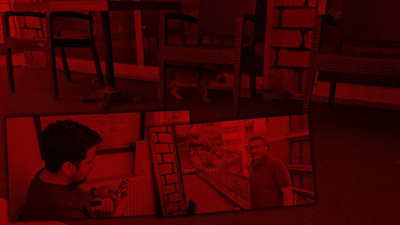 Zonguldak'ta 9 Gün Arayla İkinci Dehşet! Kedilere İşkence Mahalleliyi Ayağa Kaldırdı, ‘Eli Bisturi Tutabilen Biri’