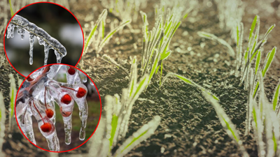 65 İli Esir Aldı Zarar Yüzde 100! ‘6 Şubat Depremi Gibi’… Felaketin Sayısı Bini Aştı