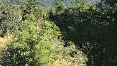 Kaz Dağları'nın Rehabilitasyonu Meclis Gündeminde