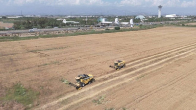 Antalya Aksu'da Hasat Başladı! Dekarda Rekor Kırıldı