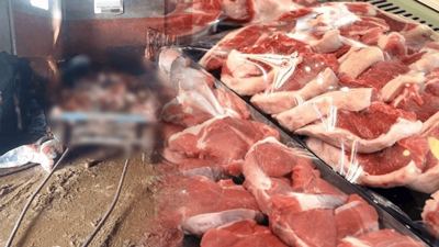 İğrençliğin Adresi Yine Adana... Tam 2.5 Ton At ve Eşek Eti Ele Geçirildi