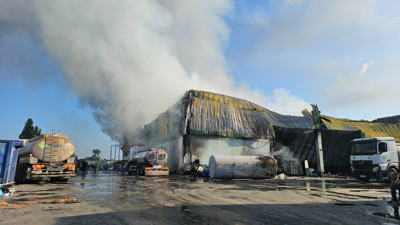 Adana'da Geri Dönüşüm Fabrikasında Korkutan Yangın: Zarar 200 Milyon Liranın Üzerinde