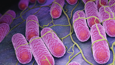 Öldüren Kumpirden Sonra Bir Gıdada Daha Alarm! İçinden Salmonella Çıktı