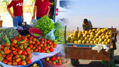 ‘Köyden Geldi’ Tuzağı! Yol Kenarındaki Ürünler Ne Kadar Güvenli? Uzmanından Hayati Uyarı