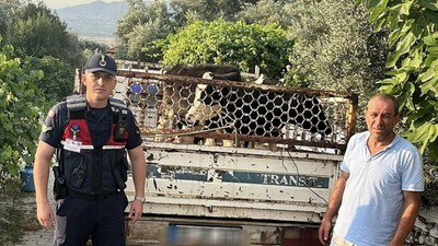 Hayvan Hırsızına Jandarma Nefes Aldırmadı