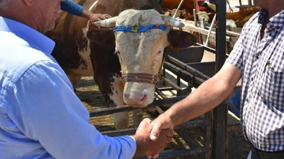 Satılamayan Kurbanlıklar İçin Yeni Uygulama Devreye Girdi: Bakanlık Düğmeye Bastı! Satış Fiyat Listesi Açıklandı